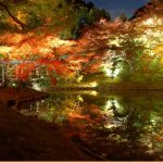 永観堂の紅葉2017の見頃やアクセスは?混雑やライトアップも!