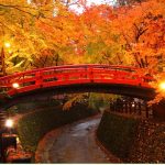 北野天満宮の紅葉2017の見頃やアクセスは?混雑やライトアップも!